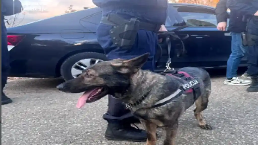 Angažovane Specijalne i Posebne jedinice policije i službeni psi u kontrolisanju operativno interesantnih osoba