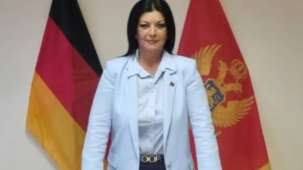 Čolović Kajević: Vrijeme je da dijaspora preuzme punu političku odgovornost