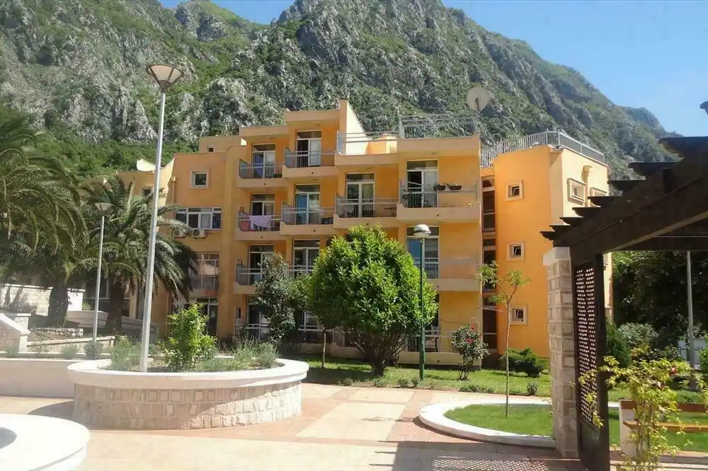 Drakić da objavi vožnje Perović i Paović: Iz risanskog Doma starih apelovali na menadžment ASK-a da organizuje sastanak