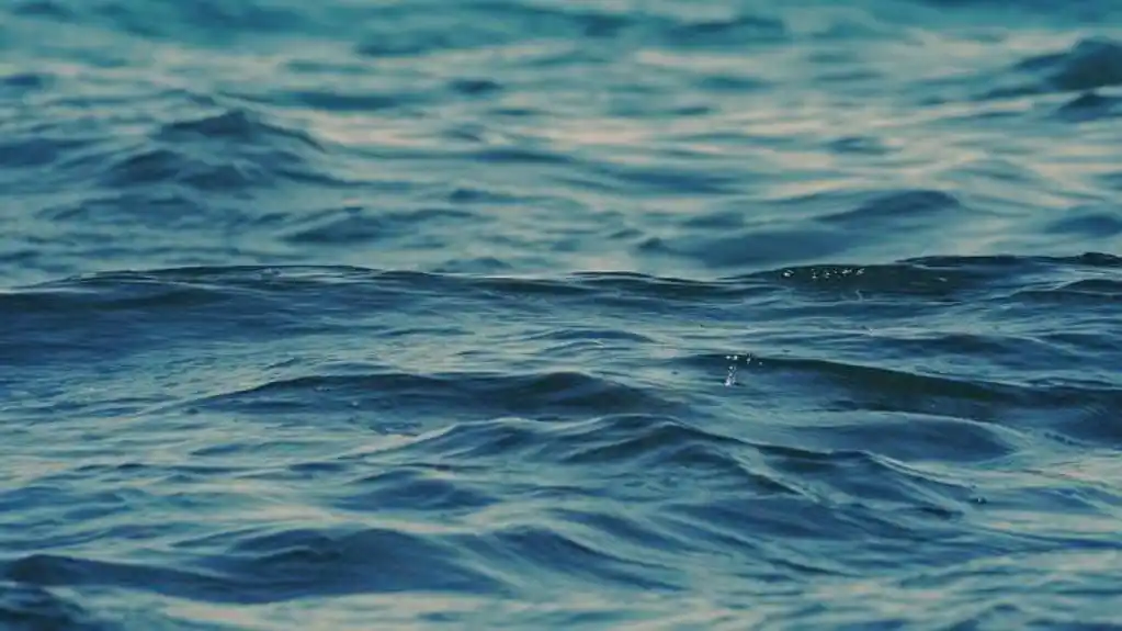 Drama u Slavonskom Brodu: Prevrnuo se čamac u Savi, ima mrtvih