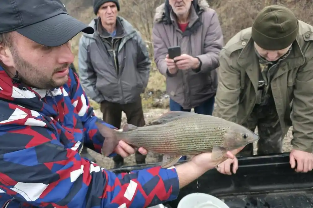 Dvodnevna akcija spašavanja riba iz starog toka Ćehotine: Ekolozi nezadovoljni novim koritom rijeke