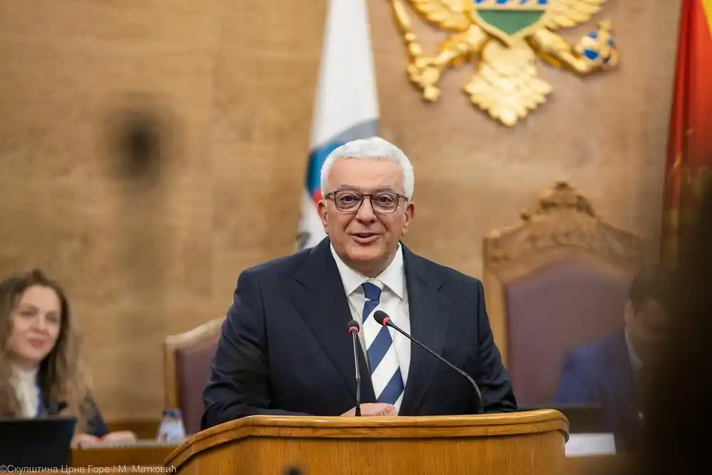 Mandić: Bezbjednost mladih na internetu pitanje od globalnog značaja