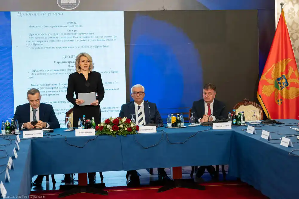 Mandić: Demokratija je proces koji sazrijeva i koji se uči