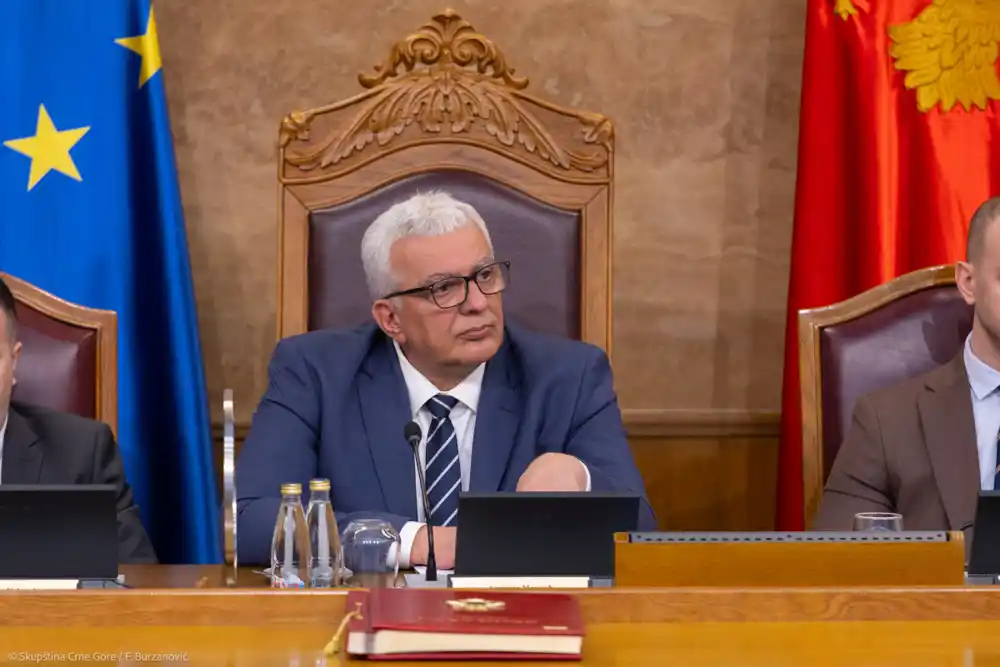 Mandić: Porodica Petrović Njegoš je najbolja porodica koju je Crna Gora imala, od četiri siromašne nahije su mačem, pameću i Krstom napravili državu; Imamo privilegiju što imamo samoniklu dinastiju!