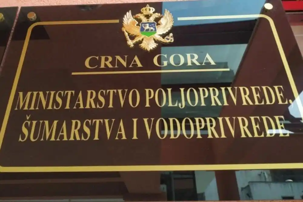 MPŠV: Kasni donošenje rješenja o finansijskoj podršci bivšim radnicima u drvoprerađivačkoj i šumarskoj industriji