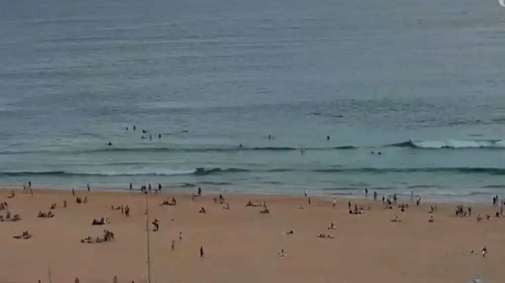Otac i sin mjesecima planirali teroristički napad na plaži Bondi u Sidneju