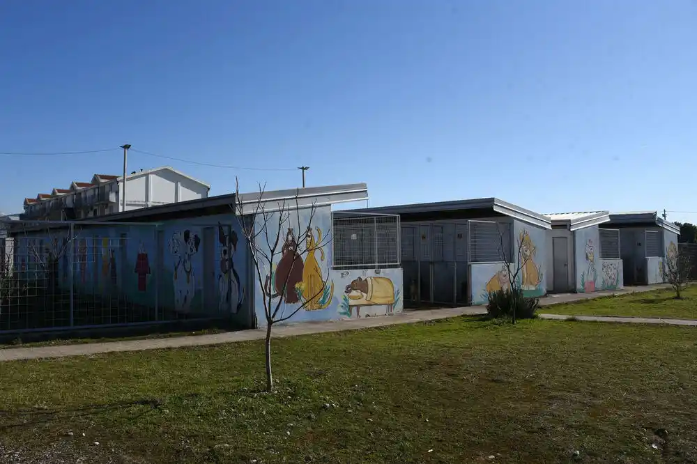 Pas u azilu, protest u najavi zbog puštanja stranog državljanina iz pritvora