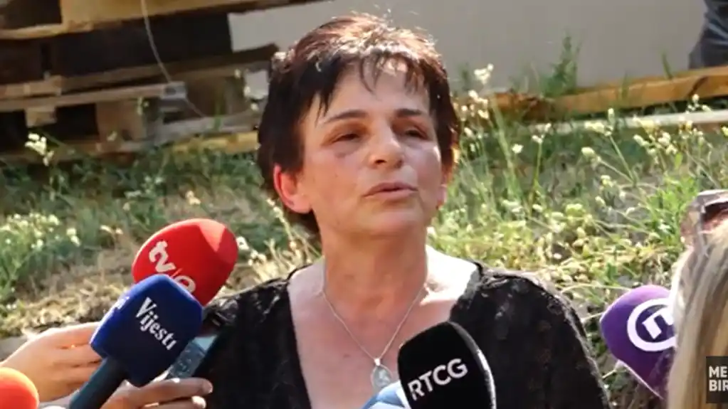 Pejović: Satler poručio da nema zatvaranje poglavlja 23 dok se ne usvoji Markov i Mašanov zakon