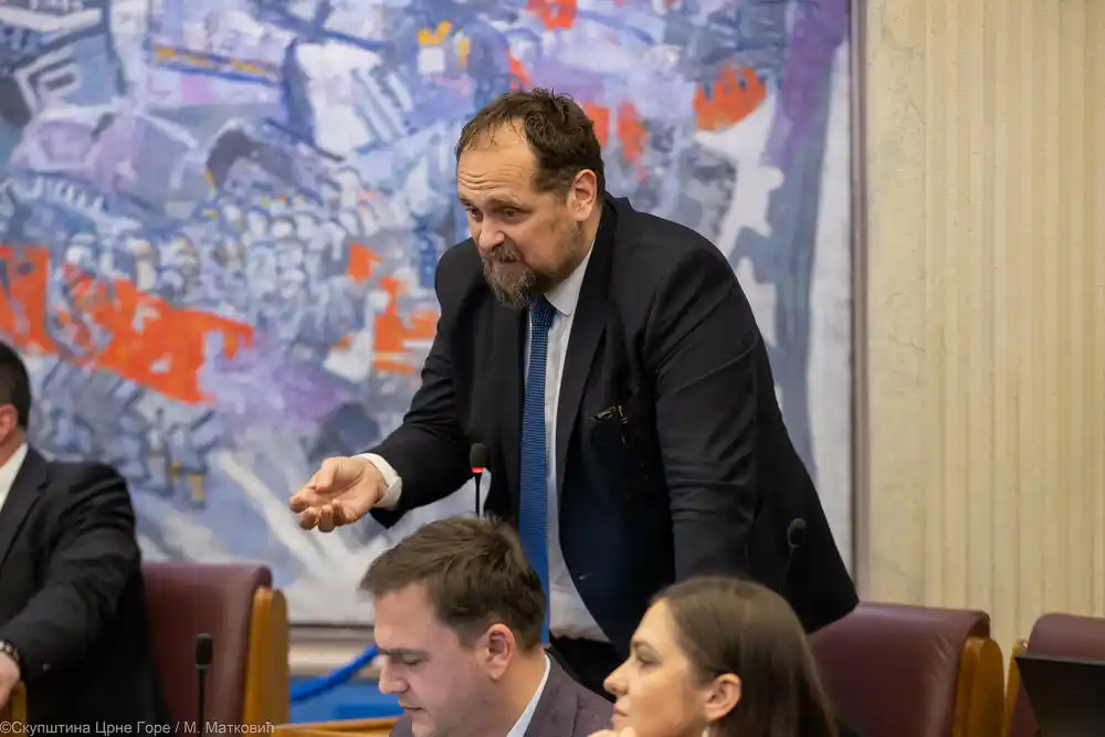 Podijeljena mišljenja o izmjenama Zakona o statusu potomaka Petrović Njegoš