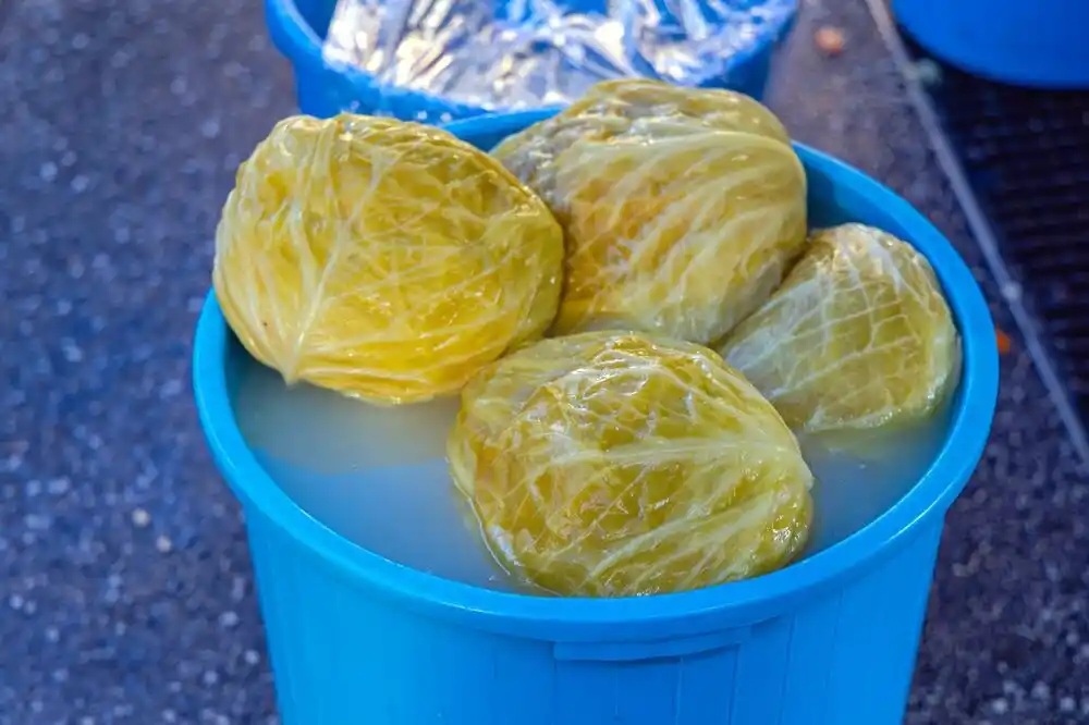 Rasol – koristi i mogući rizici konzumiranja