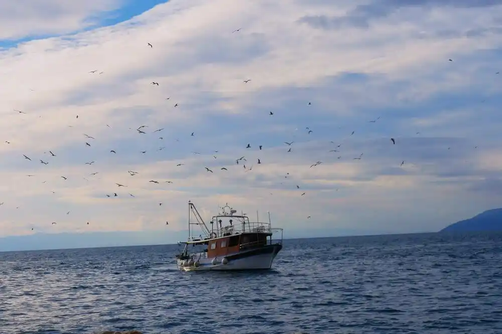 Ribarske vage do kraja godine?