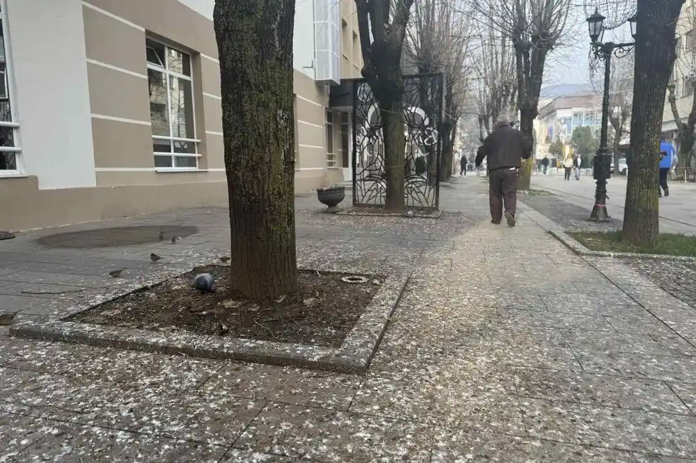 Slojevi izmeta opasni i po zdravlje: Prljavština i nesnosan smrad u najužem gradskom jezgru Bijelog Polja