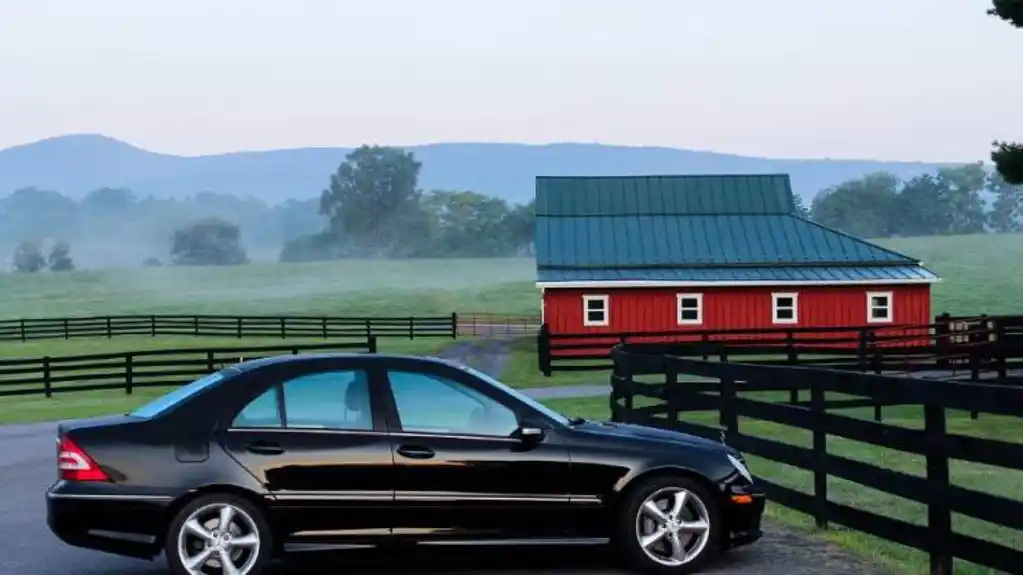 Trideset ljudi dijeli jedan automobil: Nesvakidašnja akcija žitelja jednog francuskog sela