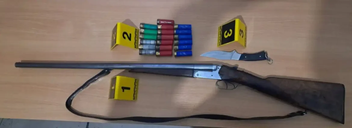 U Plavu uhapšen muškarac zbog nasilja u porodici, policija mu pretresom pronašla pušku i municiju