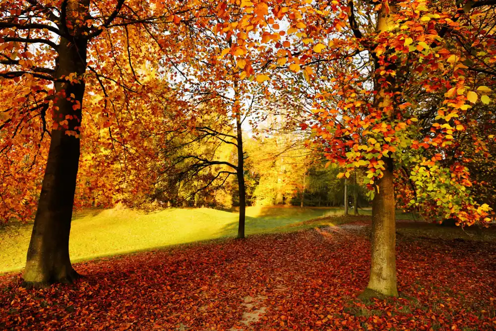 Danas pretežno sunčano, temperatura do 18 stepeni