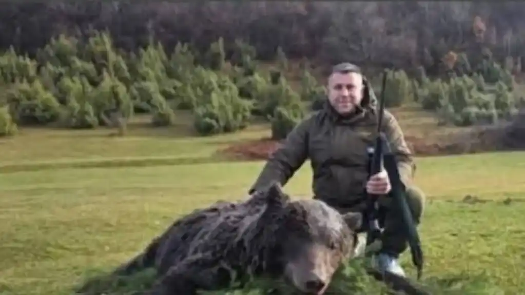 Ubijen mrki medvjed kod Travnika: Stručnjaci upozoravaju na pad populacije