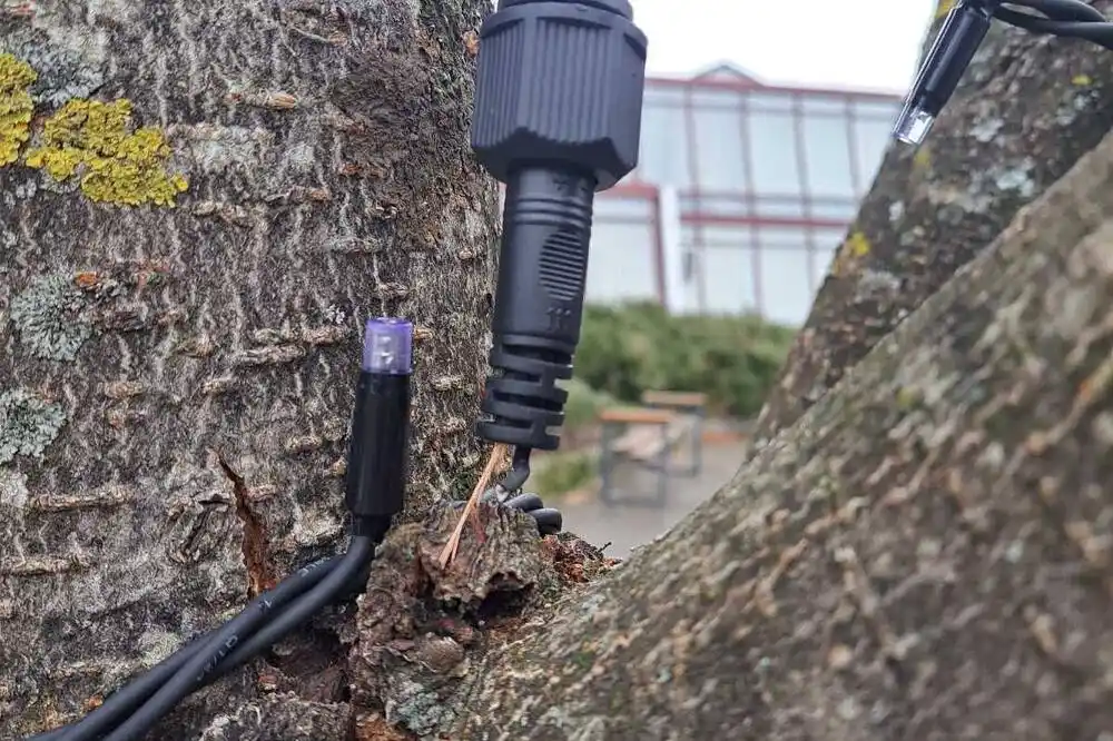 Uništena novogodišnja dekoracija u Kolašinu: Počupan dio instalacija, pokidane svjetiljke…