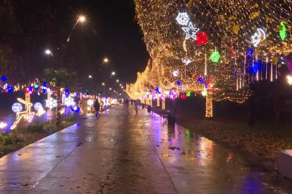 Univerzitetski kampus u Podgorici kao iz novogodišnje bajke: Praznična čarolija osvojila i najmlađe i najstarije