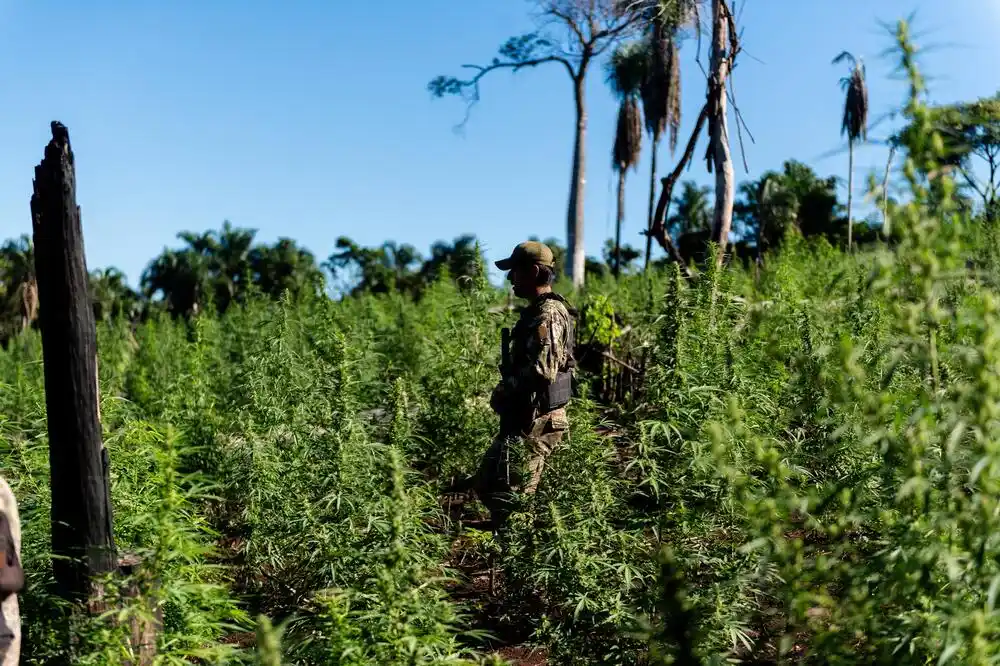 Uz pomoć EU spriječeni pokušaji Balkanske mafije da se infiltrira u Paragvaj
