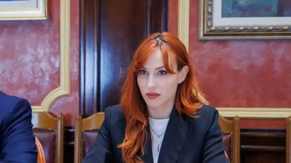 Vojinović: Presuda Medenici primjer drugima, da vidimo ko je sljedeći