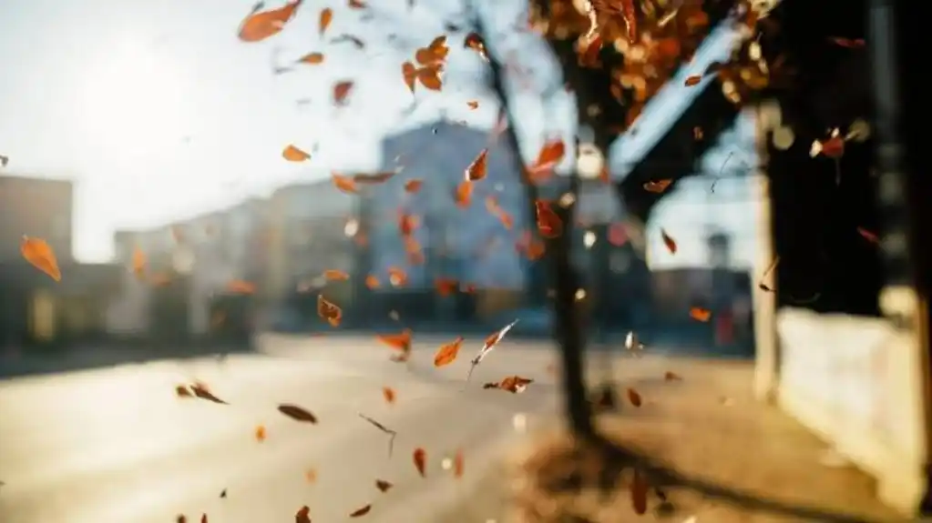 Danas sunčano, temperatura do 19 stepeni