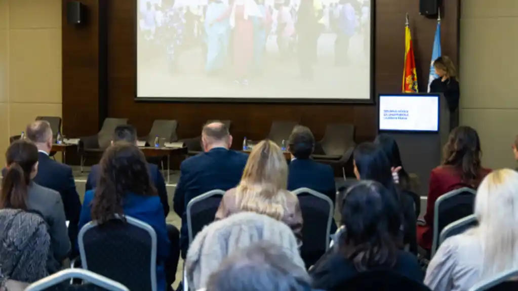 Zaštita civilnog društva: Sigurno učešće za unapređenje ljudskih prava