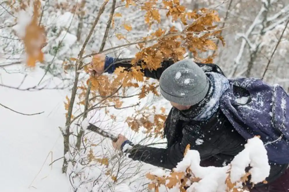 Badnji dan: Tradicionalni običaji i rituali koji se praktikuju u našim domovima