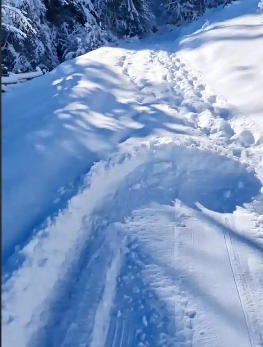 Bijelo Polje: Put neprohodan, četiri domaćinstva odjsečena od svijeta
