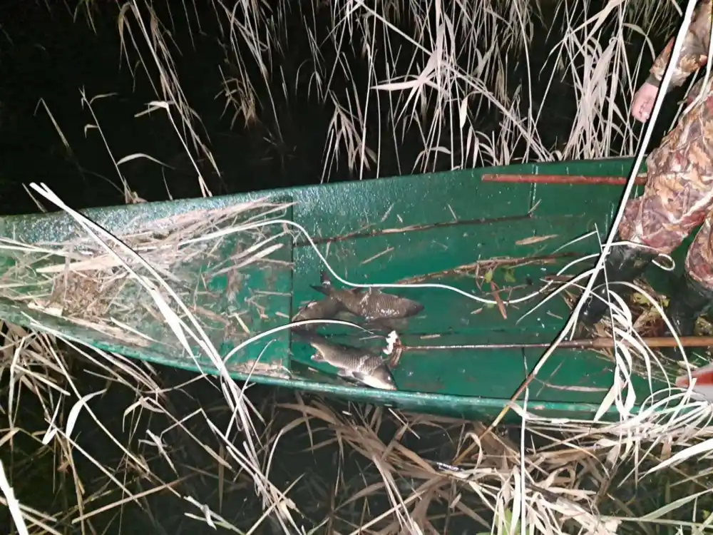 Četiri osobe zatečene u nelegalnom izlovu ribe na Skadarskom jezeru: Oduzeta plovila, motori, osti…