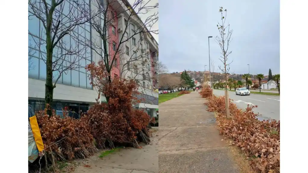 Danas je Badnji dan – praznik porodičnog zajedništva i pomirenja