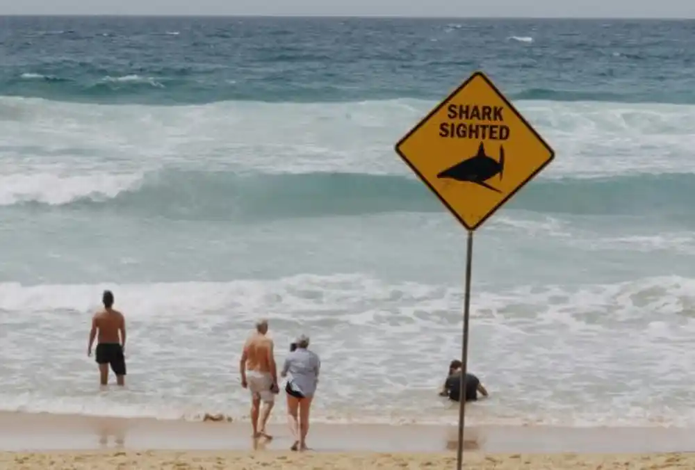 Dječaka u Sidneju napala ajkula, u kritičnom je stanju