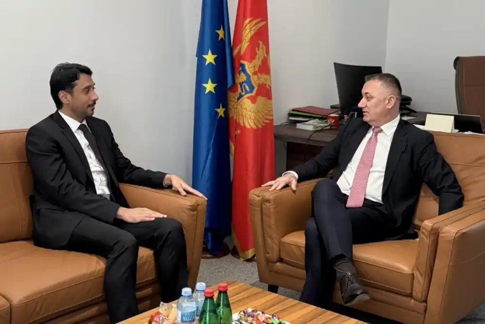Jačanje saradnje Crne Gore i UAE u cilju zaštite prava djece