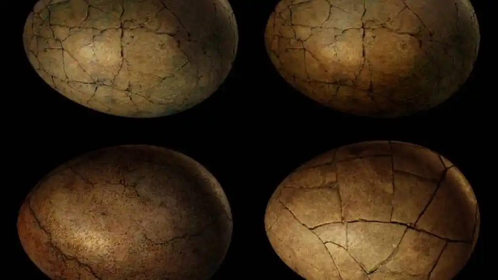 Kristalno iznenađenje za naučnike iz jajeta dinosaurusa