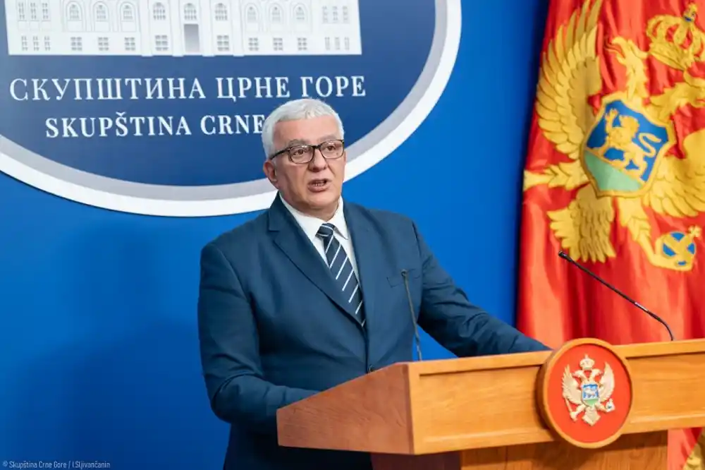 Mandić: Mojkovačka bitka nije bila samo odbrana linije fronta, već i obraz, savjest, čast i istorijsko dostojanstvo Crne Gore i Srbije!