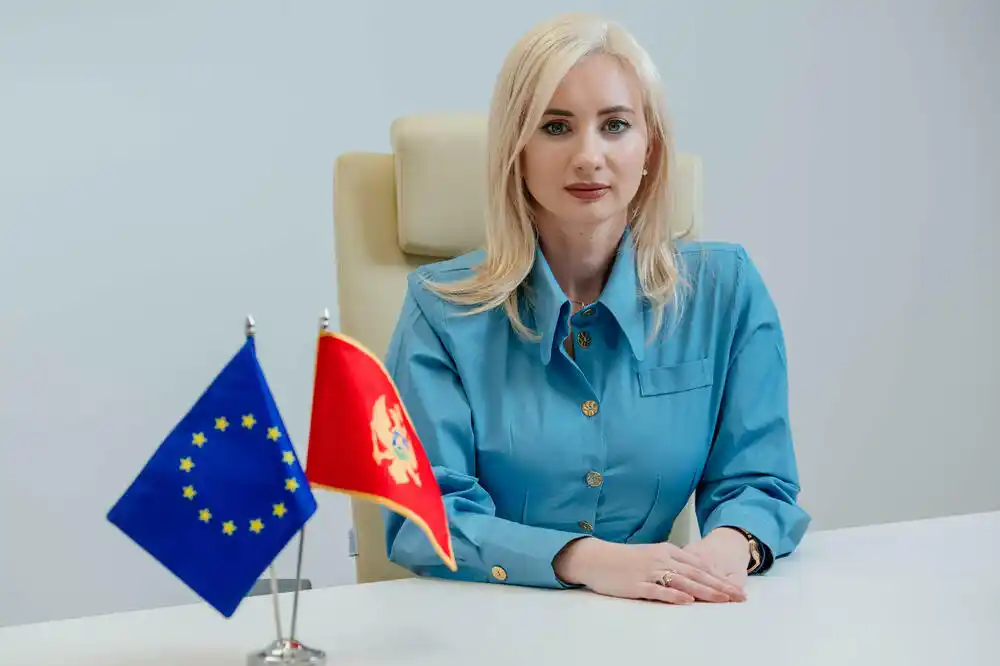 MEP: Program pristupanja Crne Gore EU je putokaz za zatvaranje svih pregovaračkih poglavlja do kraja 2026.