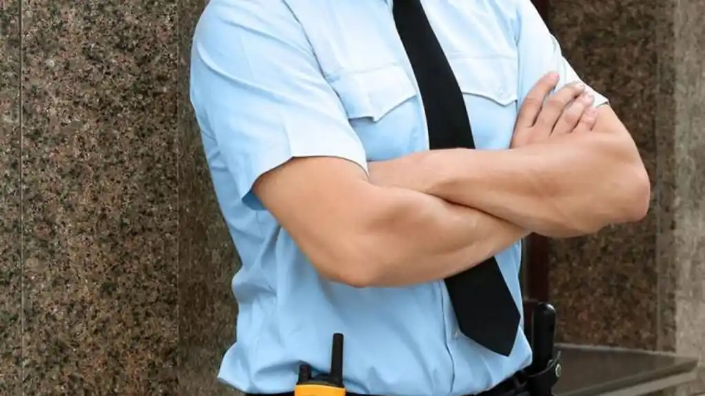 MPNI: Zaštitari u 112 škola i jednom domu učenika i studenata