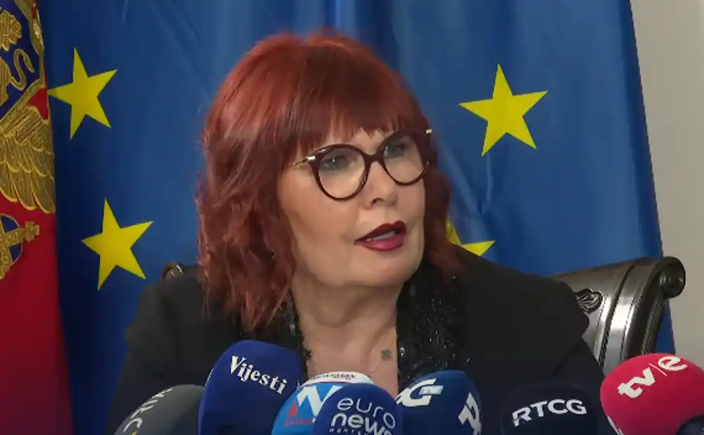 Pavličić: Stopa efikasnosti Vrhovnog suda od 108% nije zabilježena decenijama