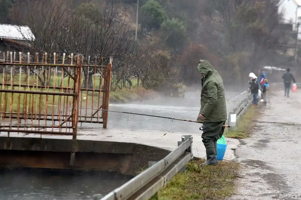 „Plantaže”: Ne kradite našu ribu