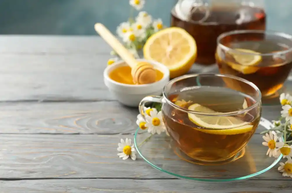 Prirodni lijekovi za groznicu