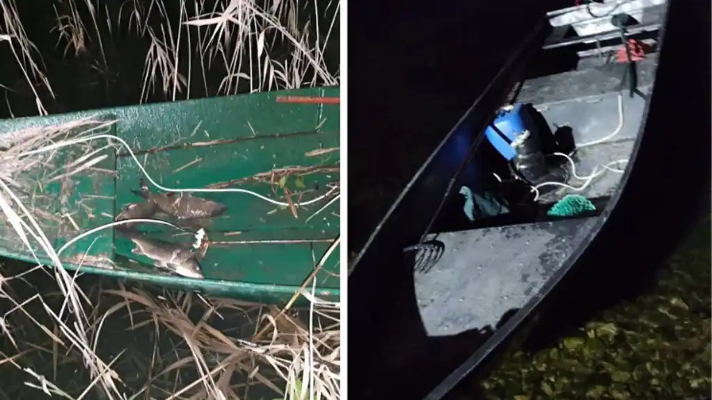 Skadarsko jezero: Prvog dana 2026. procesuirane četiri osobe zbog nelegalnog izlova ribe