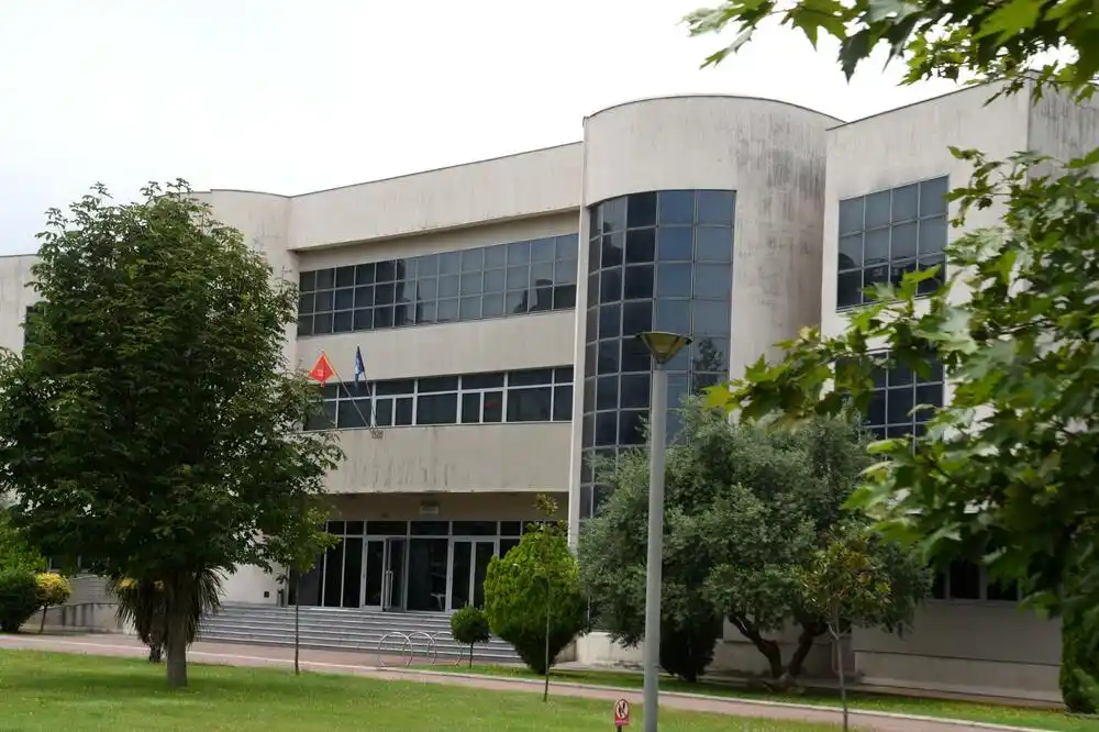 Studije roda UCG: Institucije da zaštite žrtve digitalnog i rodno zasnovanog nasilja