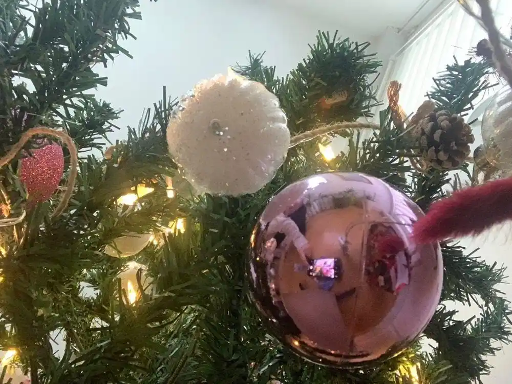 Zašto kitimo jelku i palimo badnjak pred Božić