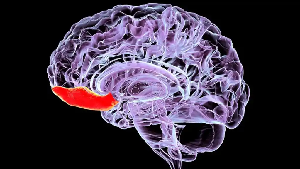 Zašto sportski udarci u glavu mogu da dovedu do Parkinsonove i Alchajmerove bolesti