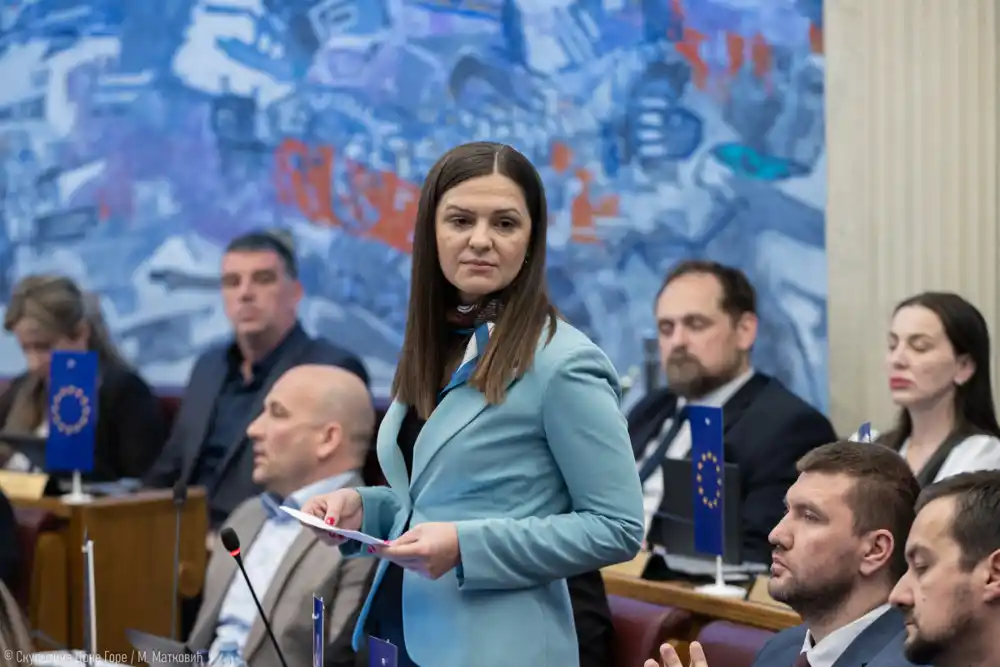 Andrić: Hapšenje profesorke Bratić sa lisicama nije slika pravde, već demonstracija sile