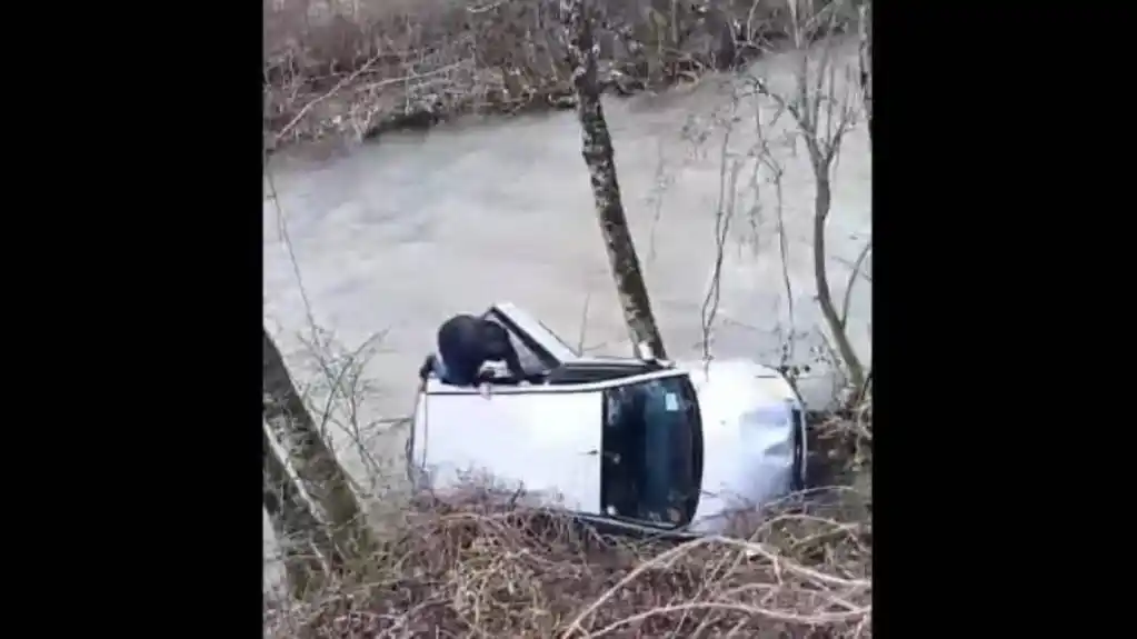 Bijelopoljac spasio Pljevljaka koji je kolima sletio u rijeku