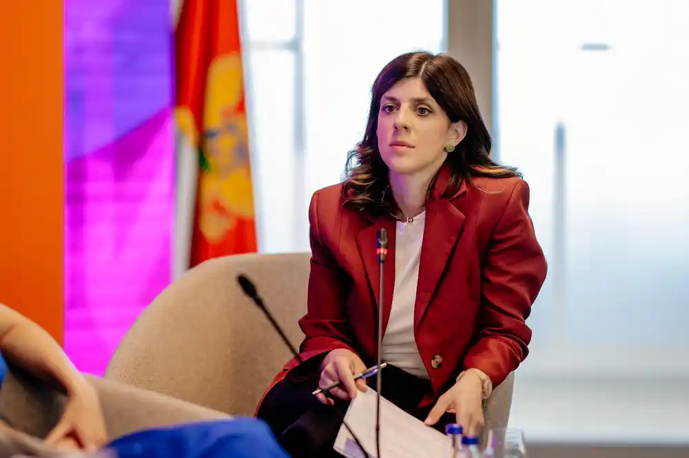 CDT: Zakoni o ANB i unutrašnjim poslovima na dnevnom redu Skupštine, iako EK nije dala zeleno svjetlo