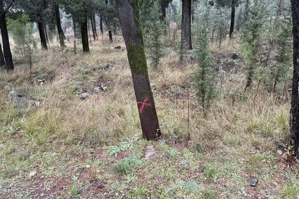 Divlja gradnja i u zaštićenim zonama