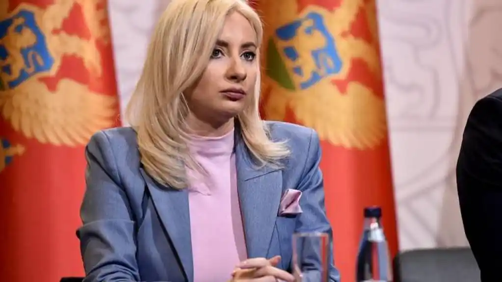 Gorčević: U martu zatvaranje novih poglavlja, kreće izrada Ugovora o pristupanju EU