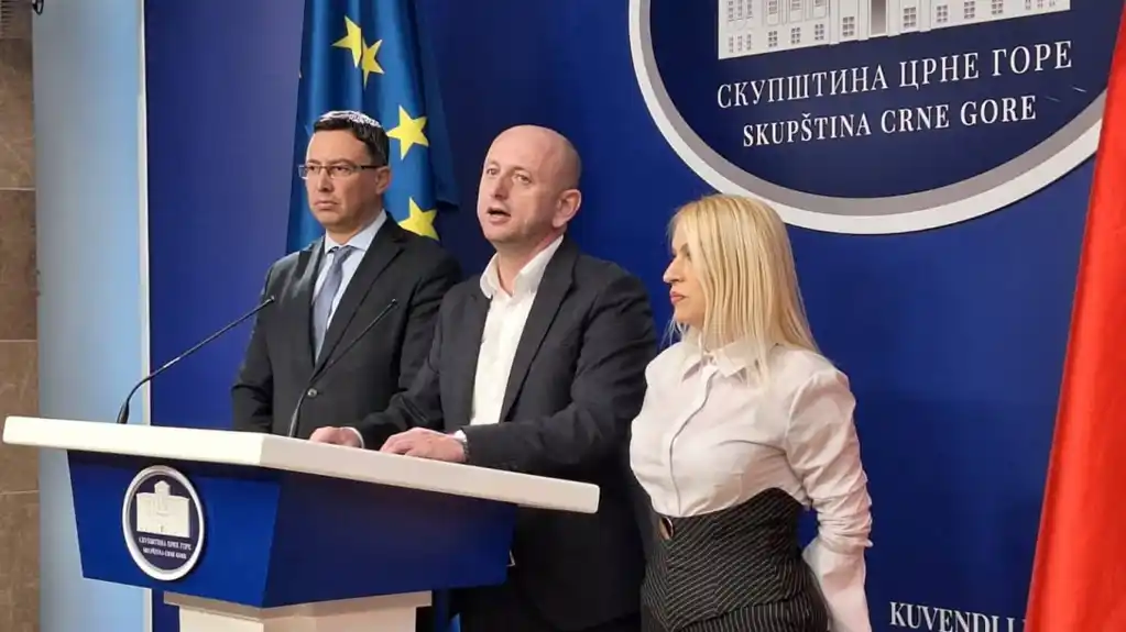 Knežević: DNP predao predlog zakona o dvojnom državljanstvu, srpskom jeziku i trobojci