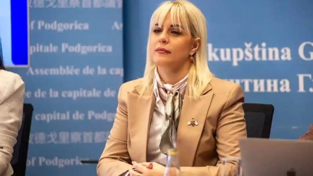 Ljiljanić: Podrška Saši Mujoviću znači podršku stabilnoj i funkcionalnoj Podgorici